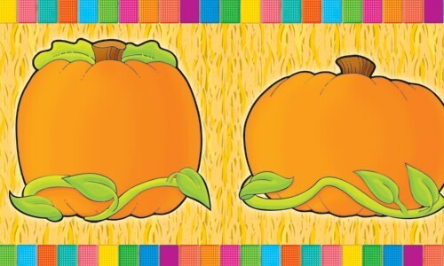 Pumpkin Patch