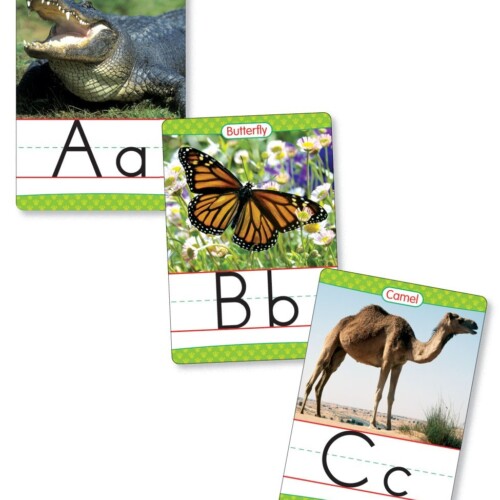 Animals From A to Z Manuscript Alphabet Set