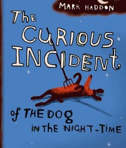 The Curious Incident of the Dog in the Night-time