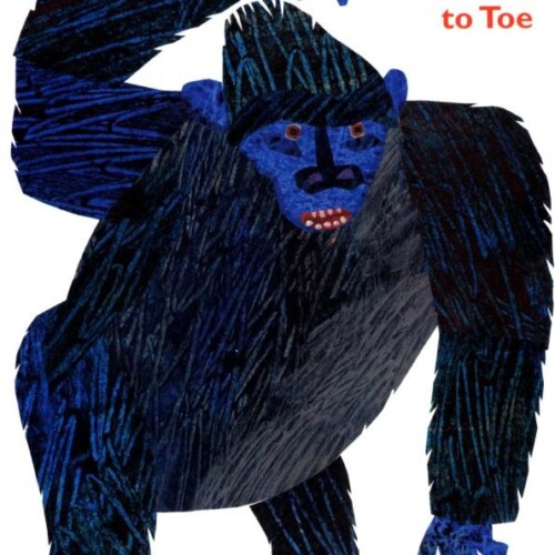 From Head to Toe