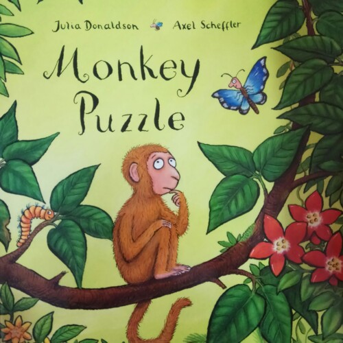 Monkey Puzzle Big Book