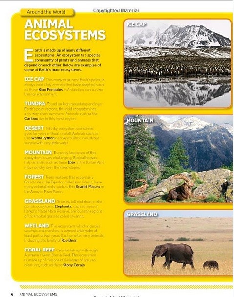 Wild Animal Atlas