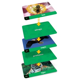 Animals Linkology Card Game