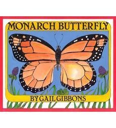 Monarch Butterfly