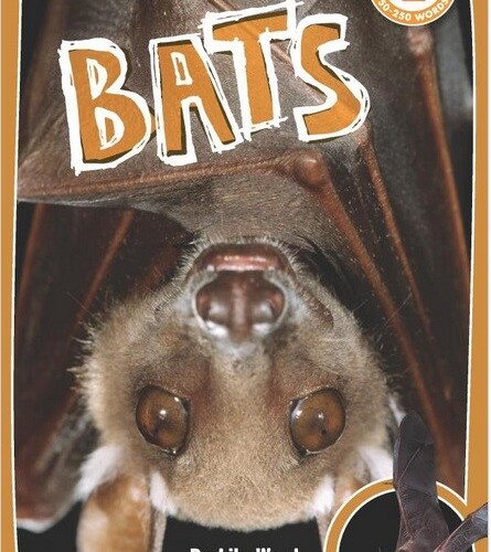 Bats