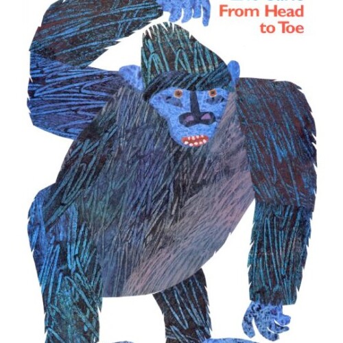 From Head to Toe (Big Book)