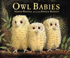 Owl Babies (Big Books)