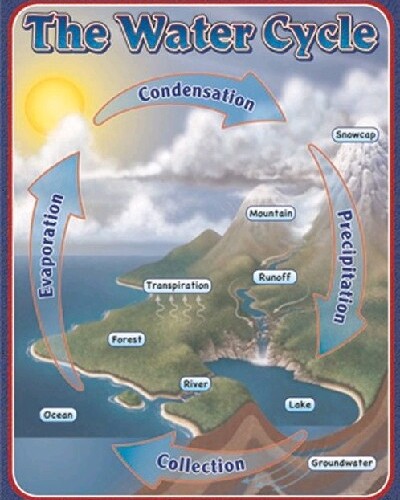 Water Cycle CD114053