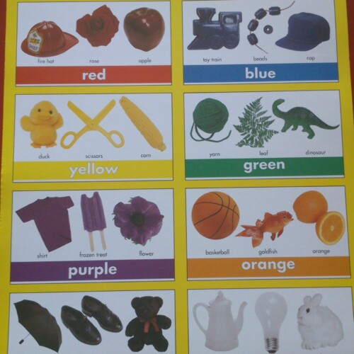 Colors