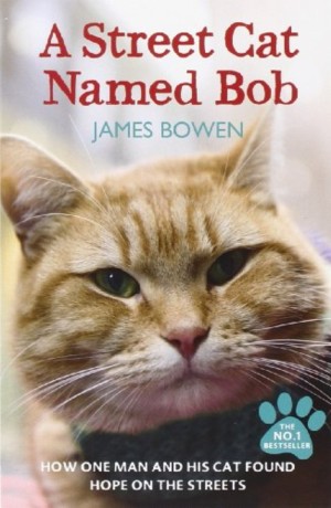 A street cat named Bob