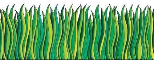 Tall green grass