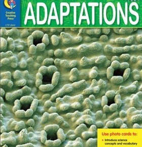 Plant Adaptations Photo Cards