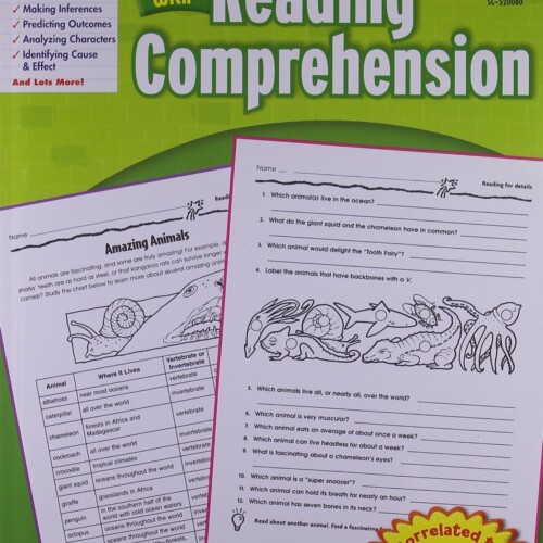Scholastic Success with Reading Comprehension, Grade 5