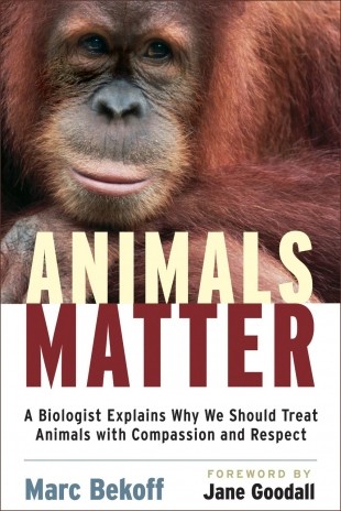 Animals Matter